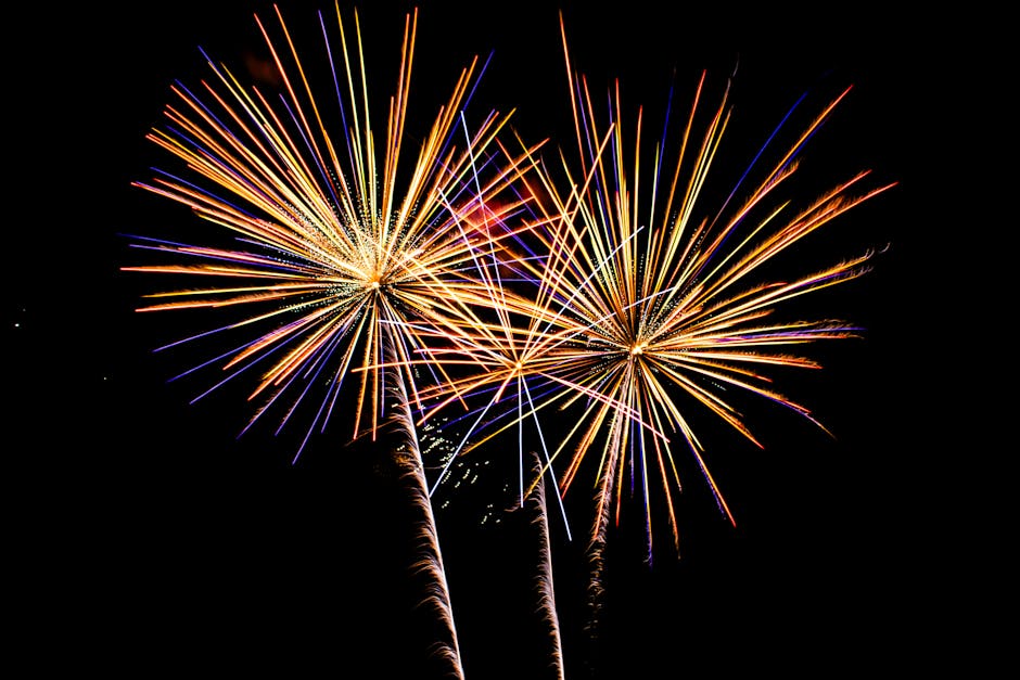 Elevate Your Photography Game with Davek Kilbeys Help